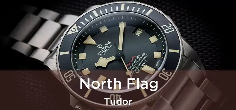  North Flag Tudor