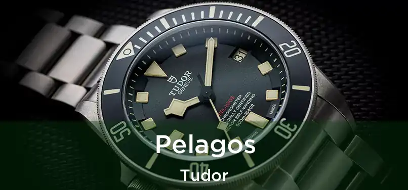  Pelagos Tudor